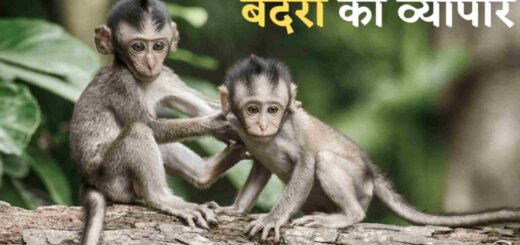 धोखा पर कहानी