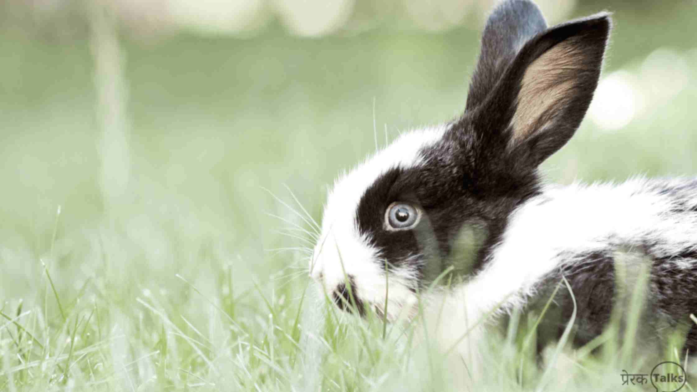 प्रेरक कहानी - आलसी स्वाभाव