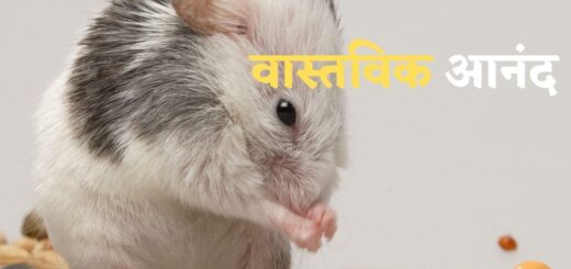 prenadayak hindi kahani