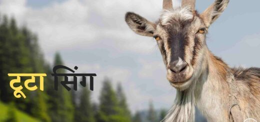 chote baccho ki choti kahani