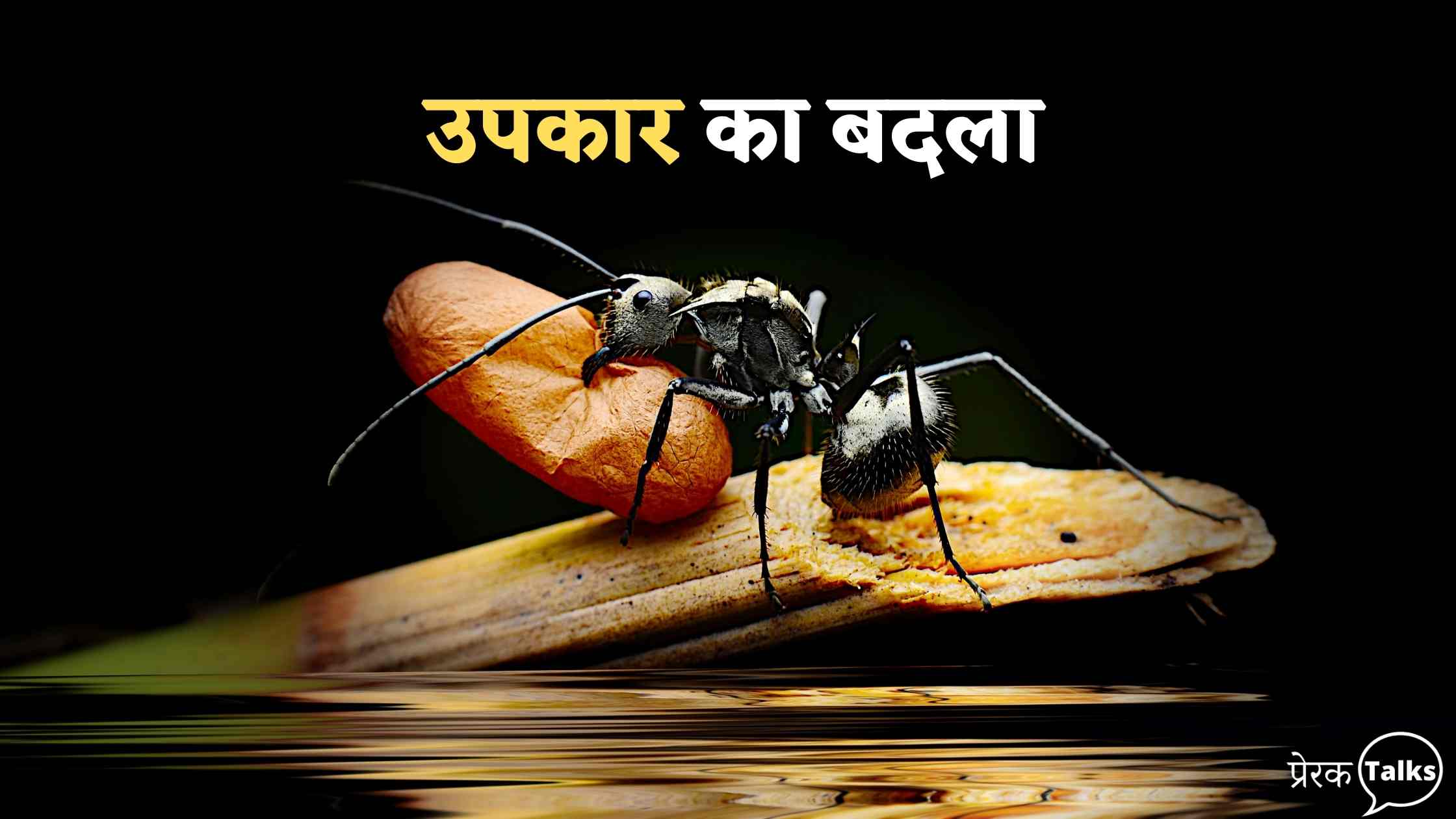 bacho ki laghu kahaniya