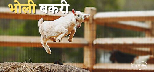 chalak-lomdi-ki-kahani