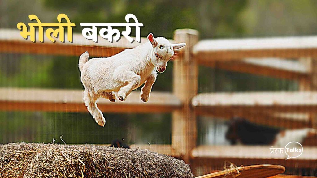 चालाक लोमड़ी कहानी