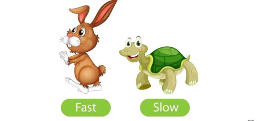 कछुए और खरगोश की कहानी