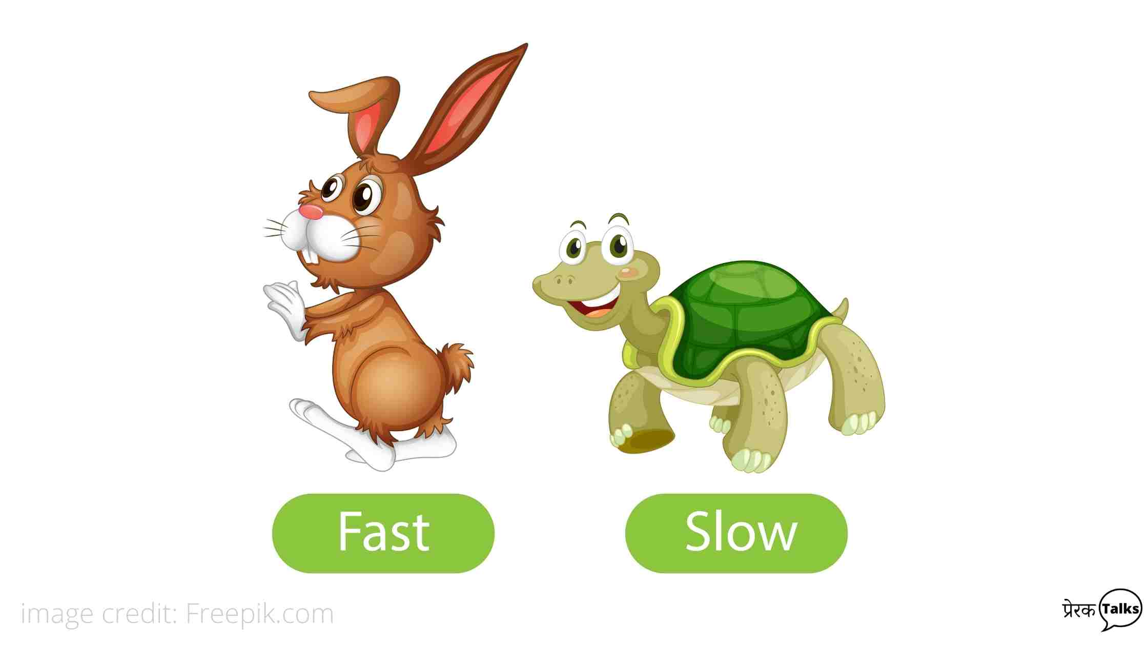 कछुए और खरगोश की कहानी