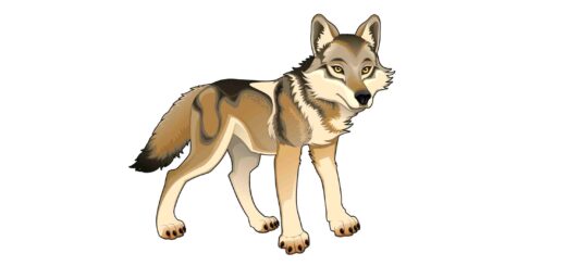 भेड़िया आया भेड़िया आया कहानी