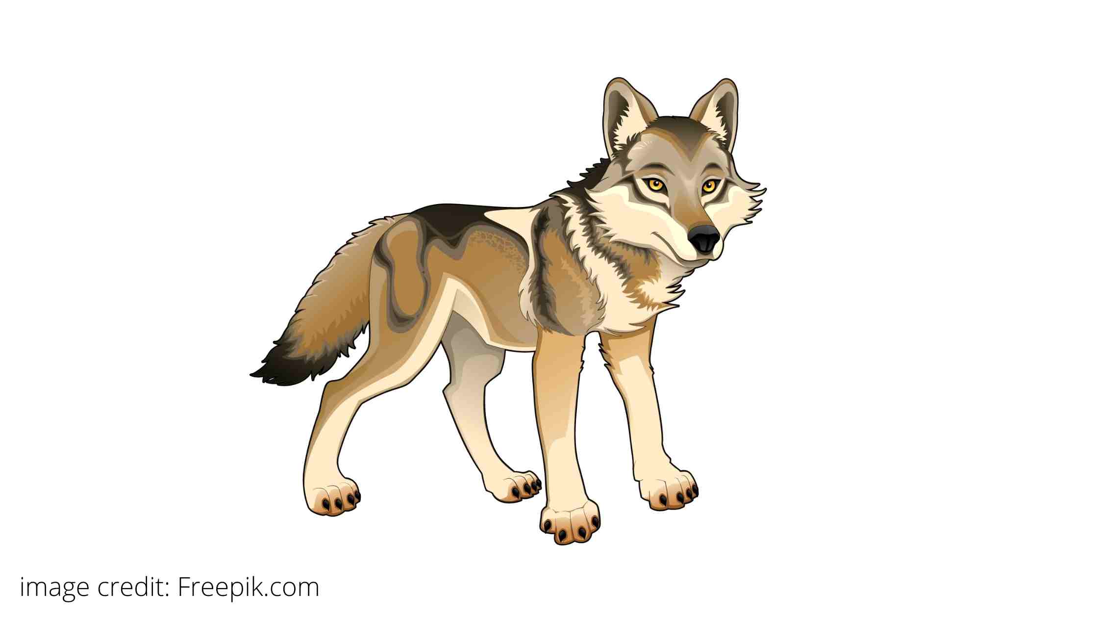 भेड़िया आया भेड़िया आया कहानी