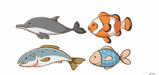 सही निर्णय पर कहानी