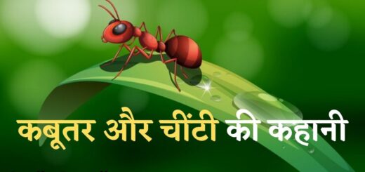 कबूतर और चींटी का कहानी