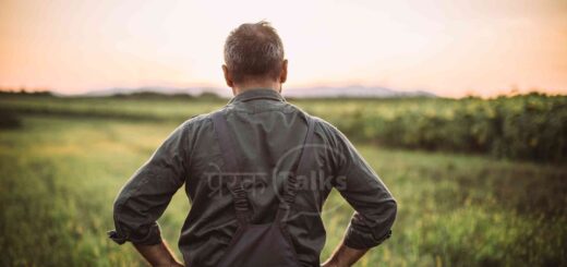 क्रोध पर कहानी